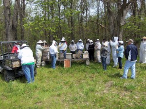 Demonstration hives at IQI Spring class in Vandalia, IL courtesy of Lonnie Langley. 